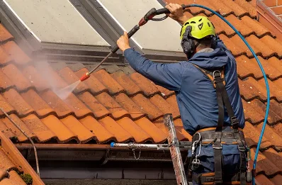 Démoussage et hydrofuge de toiture à Précey